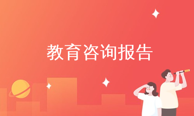 教育咨询报告