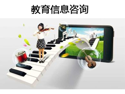 教育信息咨询5